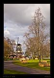 Keukenhof Hollandia 103